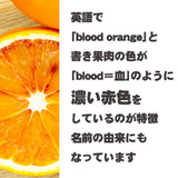 和歌山県産 タロッコオレンジ（ブラッドオレンジ）