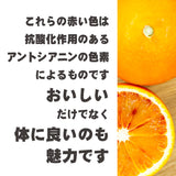 和歌山県産 タロッコオレンジ（ブラッドオレンジ）