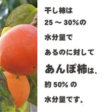 あんぽ柿 長寿柿 3個入