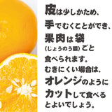 和歌山県産 清見 オレンジ