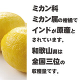 和歌山県産 レモン
