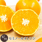 和歌山県産 セミノールオレンジ